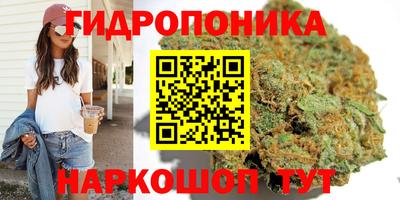 сатива Кунгур