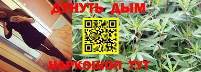 сатива Кунгур