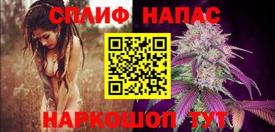 сатива Кунгур