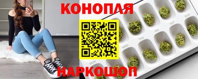 сатива Кунгур