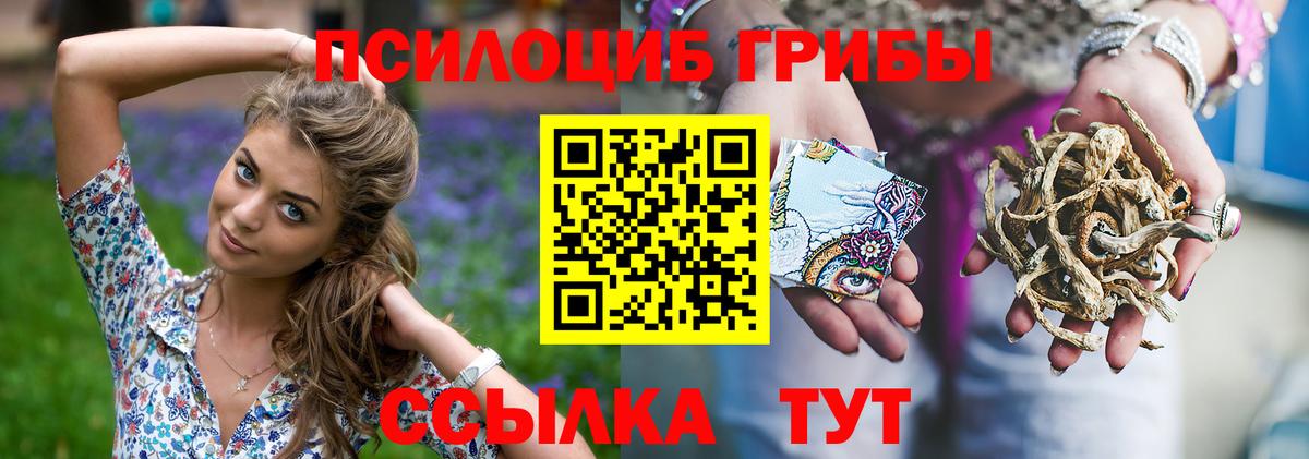 Зеленогорск  Галлюциногенные грибы Psilocybe  Вход с VPN  Галлюциногенные грибы мухоморы 