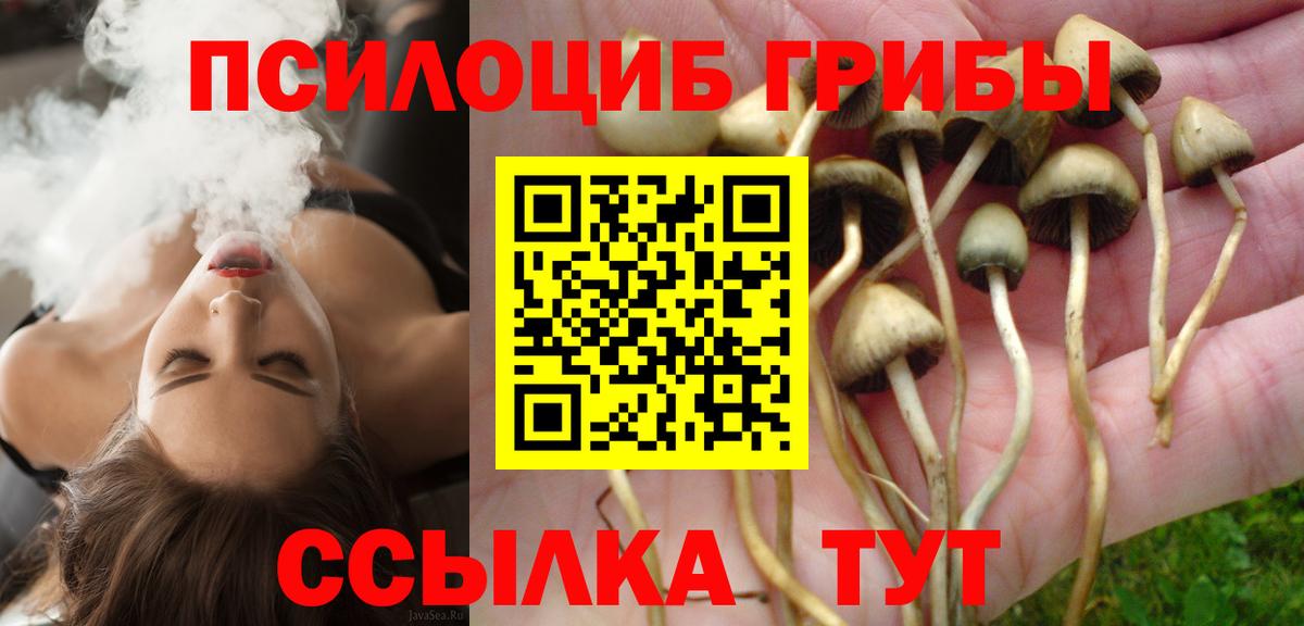 Галлюциногенные грибы прущие грибы Зеленогорск